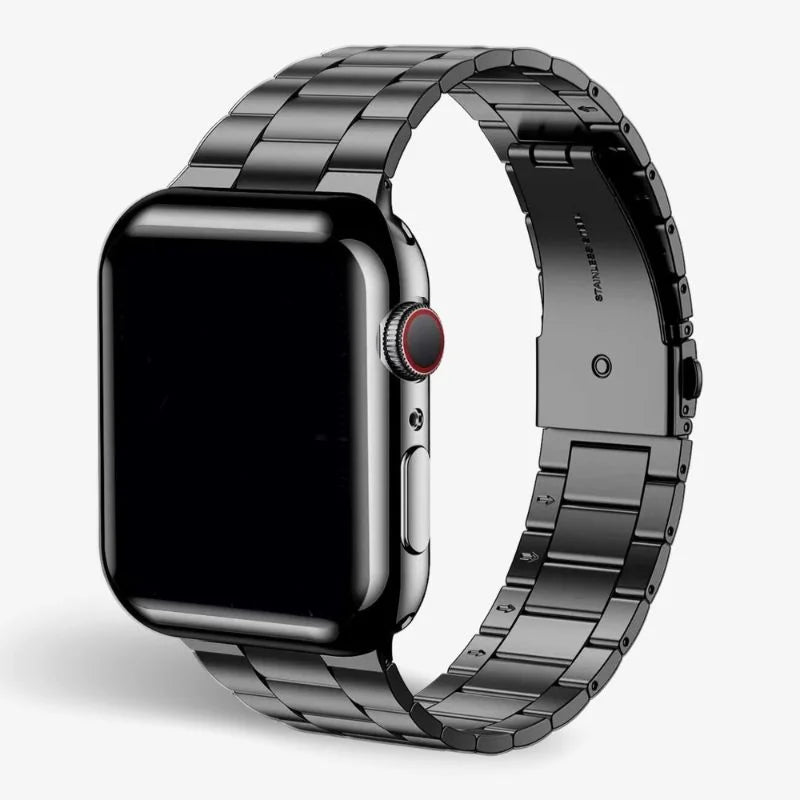 Stainless Steel Watch Band with Case