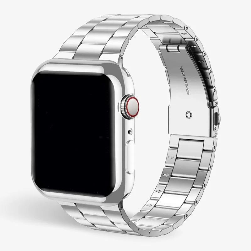 Stainless Steel Watch Band with Case