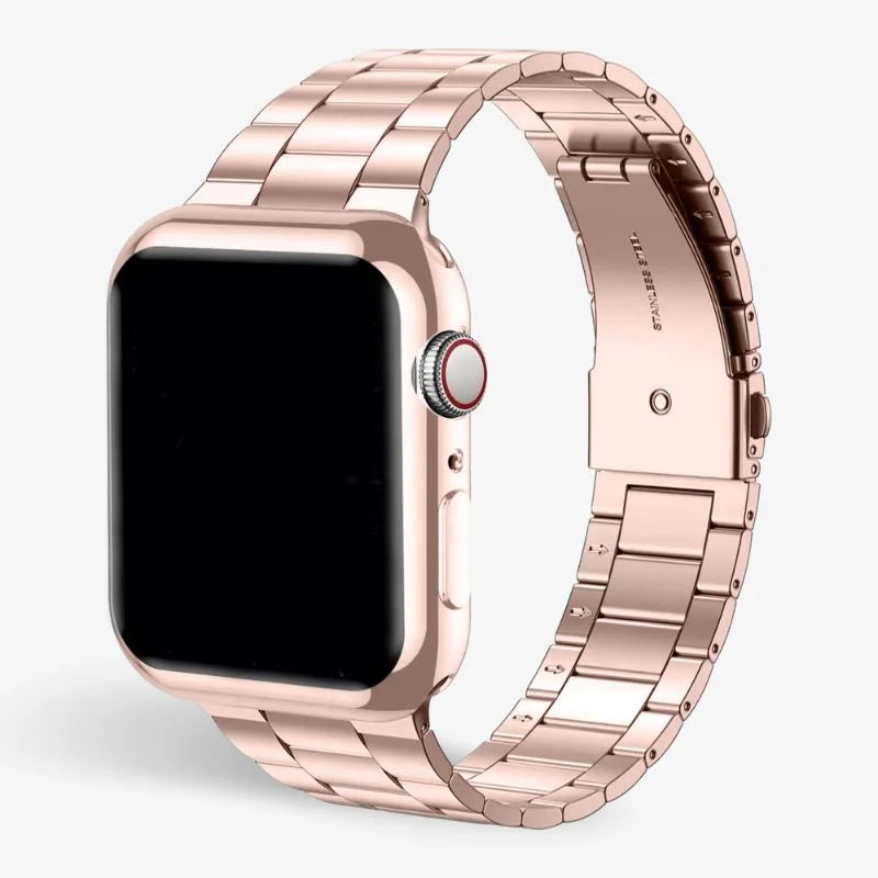 Stainless Steel Watch Band with Case