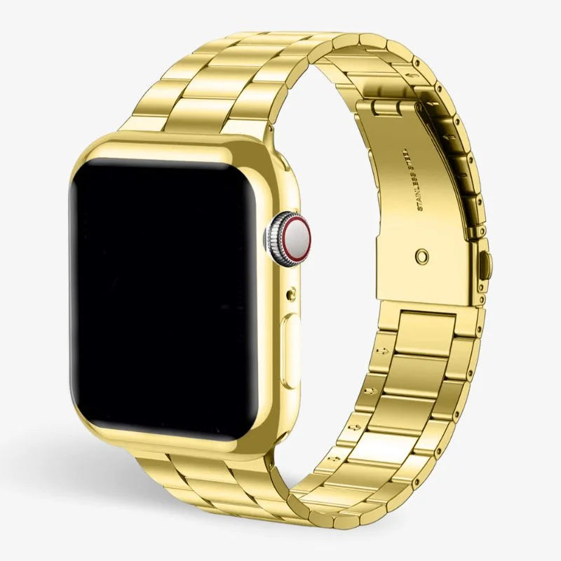Stainless Steel Watch Band with Case
