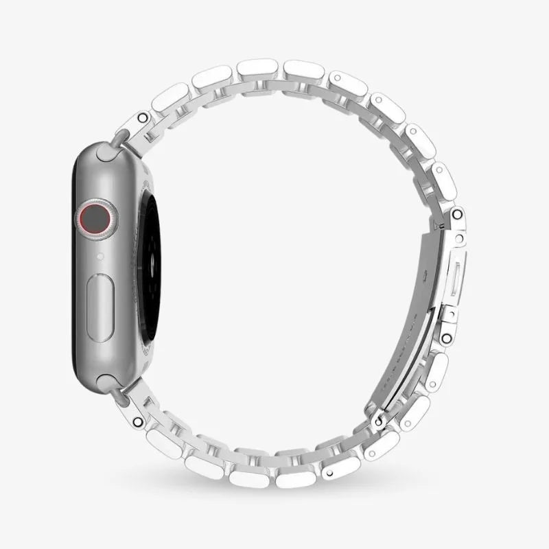 Stainless Steel Watch Band with Case