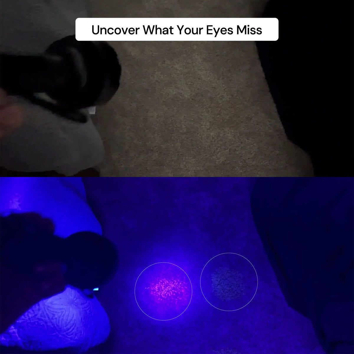 UV Flashlight